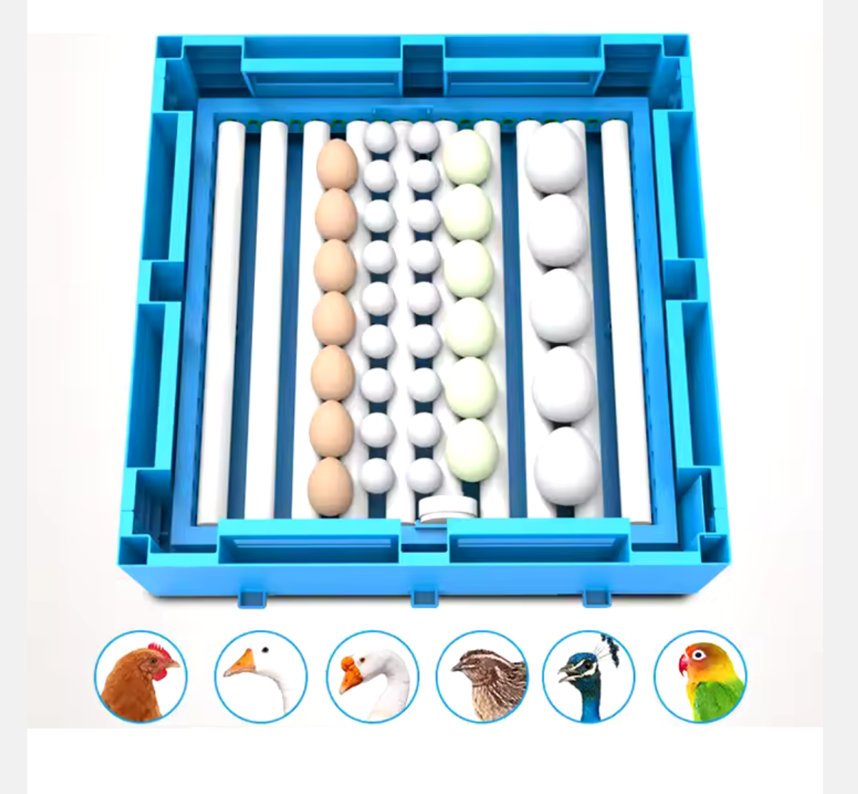 ماكينة تفريخvEggMaster صغيره سعة 256 بيضه 4 درج