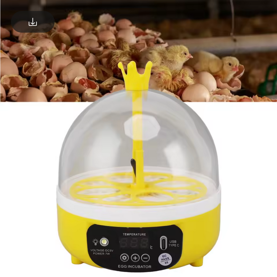 ماكينة تفريخ الي صغيره EggMaster 7