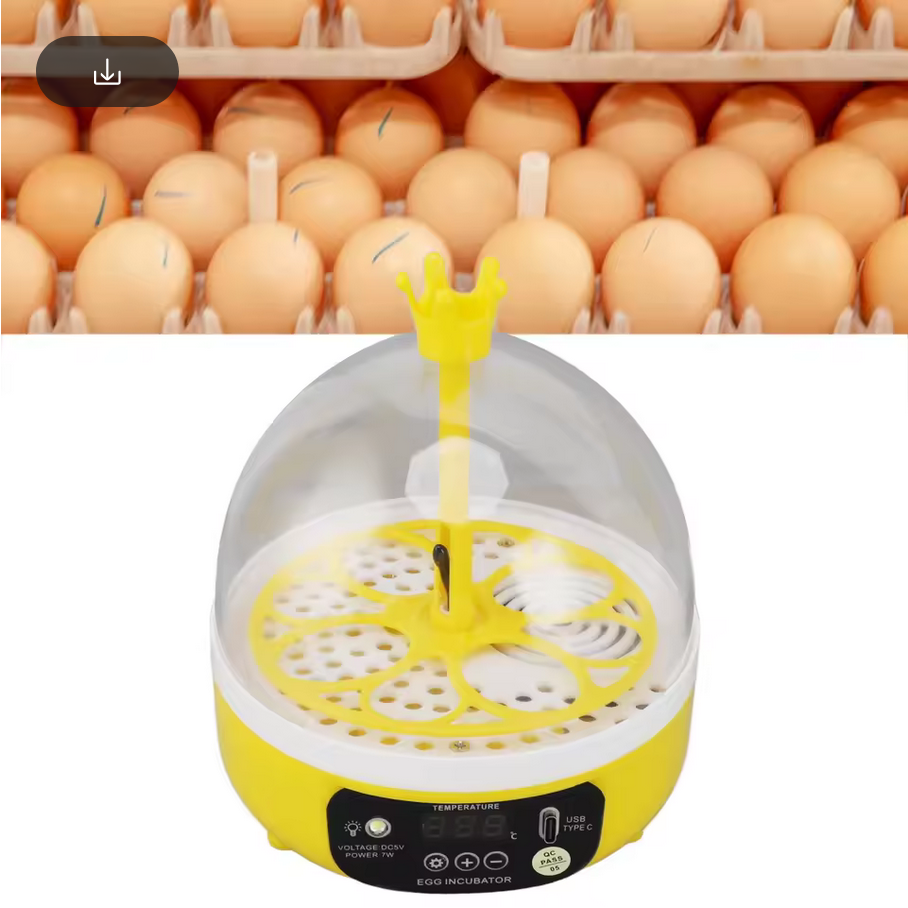 ماكينة تفريخ الي صغيره EggMaster 7