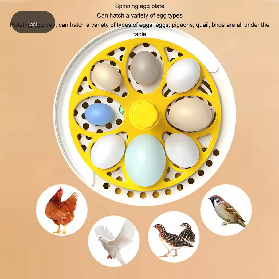 ماكينة تفريخ الي صغيره EggMaster 7