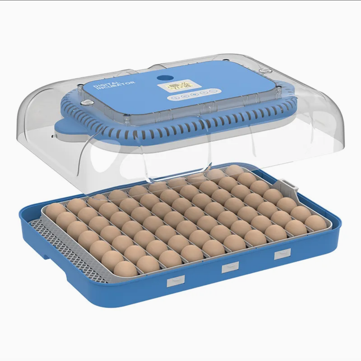 egg master 70 ماكينة تفريخ الي