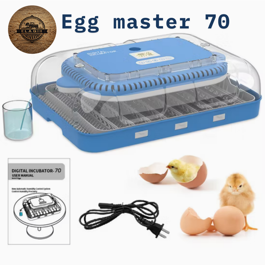 egg master 70 ماكينة تفريخ الي